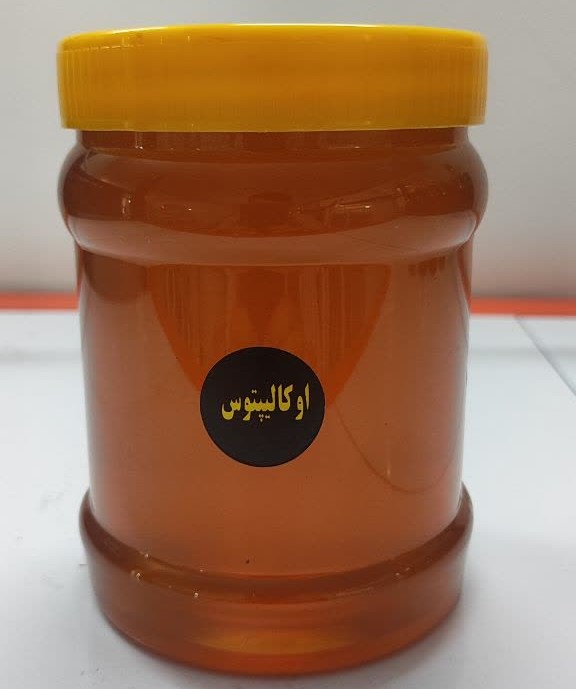 عسل اکالیپتوس