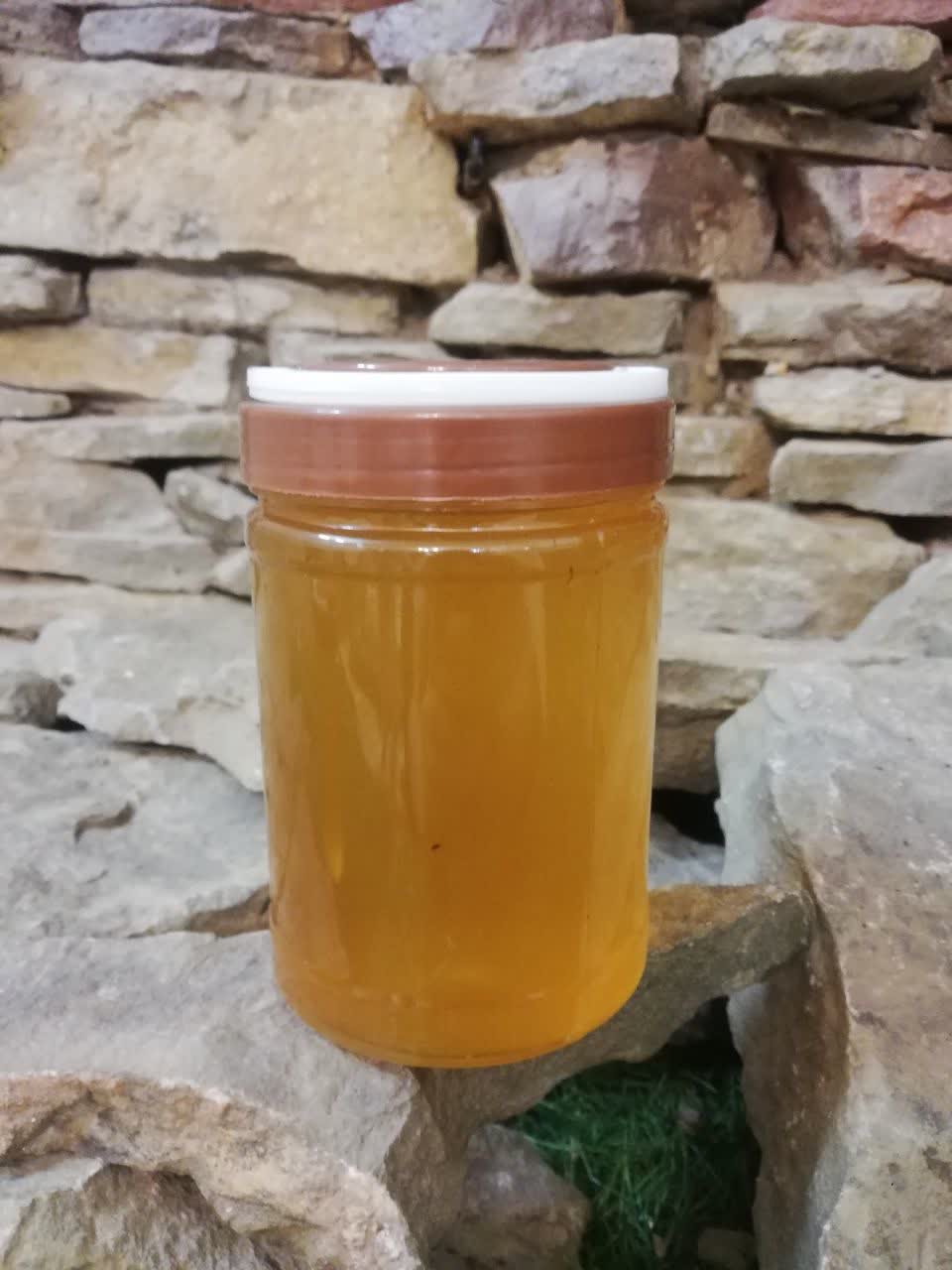 عسل گون ارگانیک عالی