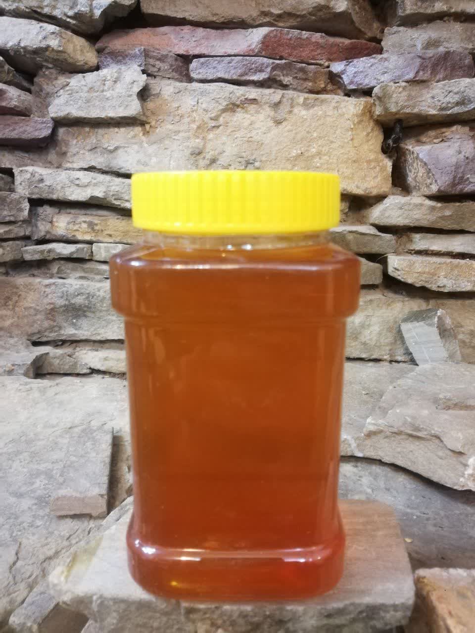 عسل خارچوبه ارگانیک