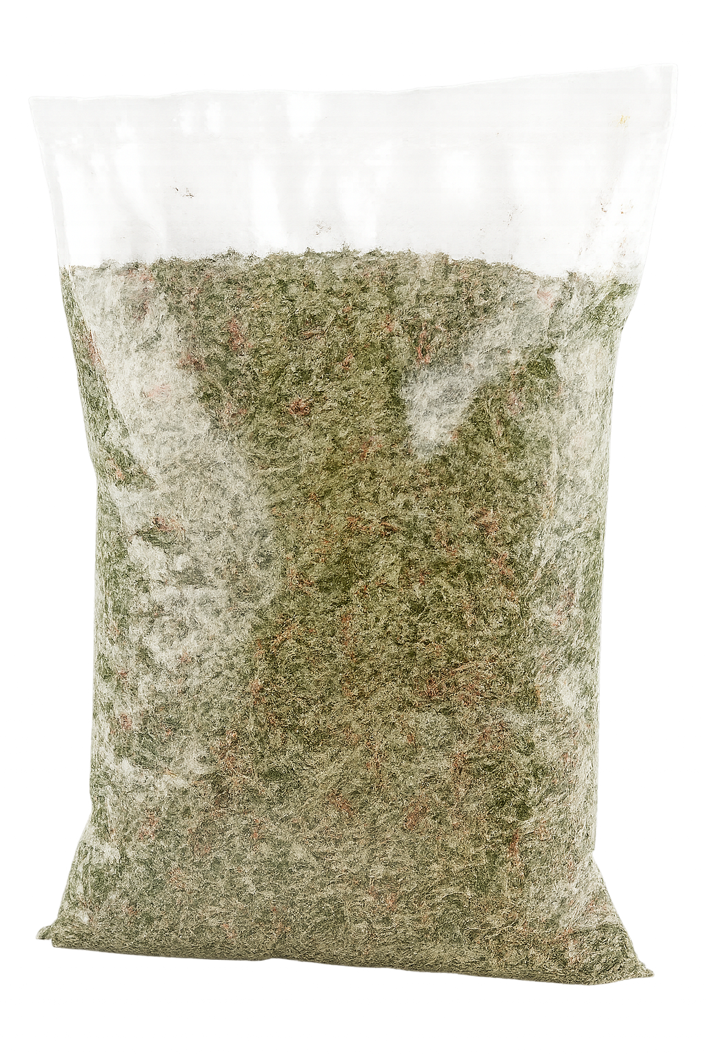 شنبلیله خشک