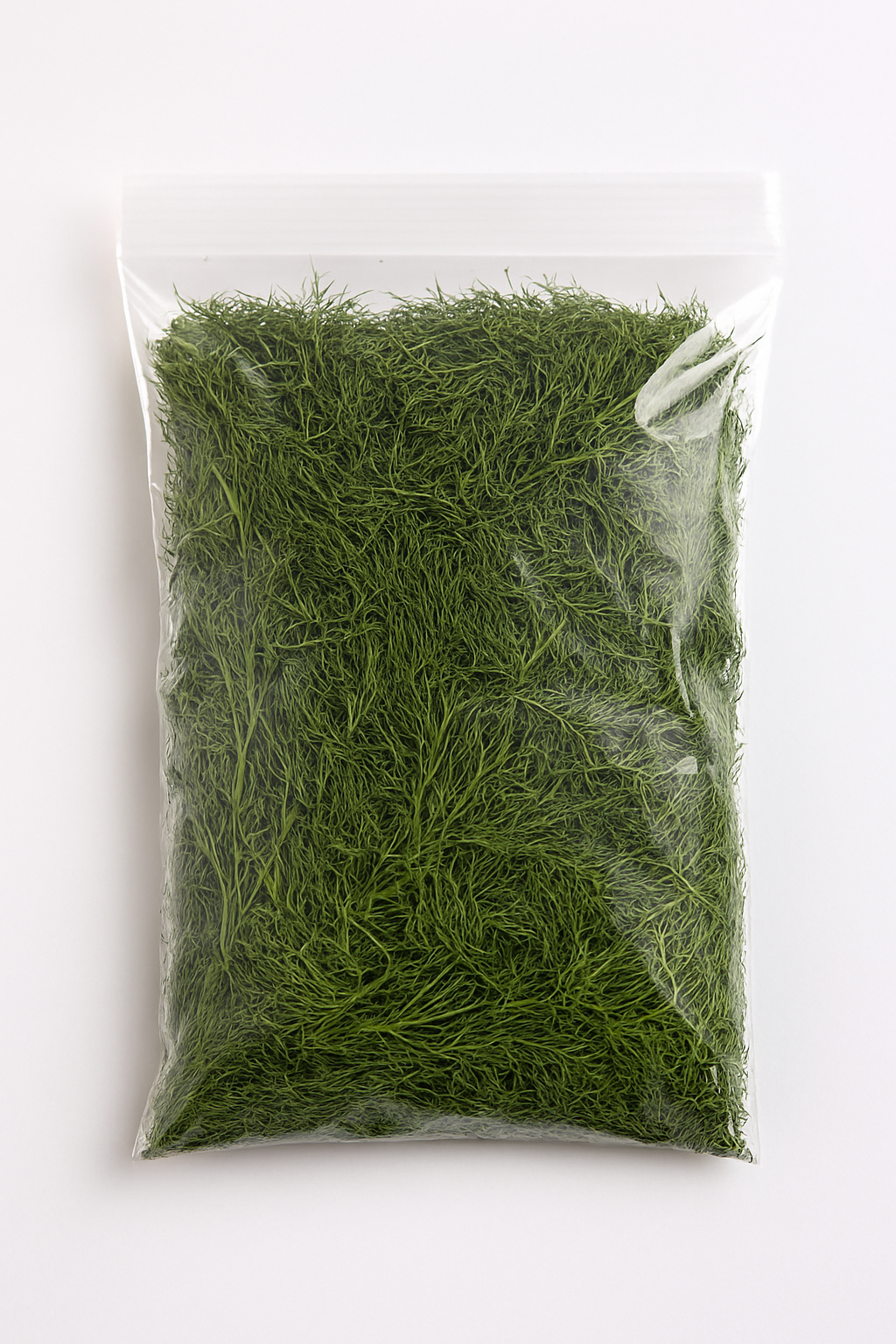 شوید خشک امسال